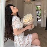 レースラグジュアリーワンピース(2COLOR)AO1784