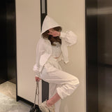 インナーキャミ付きセットアップ(2COLORS)AS1120