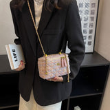 スプリングカラーツイードバニティバッグ(5COLOR)AG1029