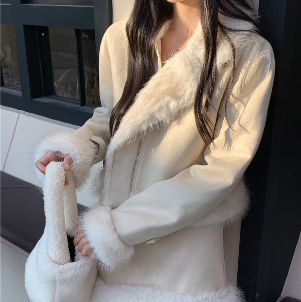 ポイントファーライダースセットアップAS1686